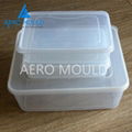 Transparent plastic disposable food container injection mold 1