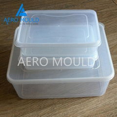 Transparent plastic disposable food container injection mold