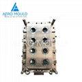 Injection plastic mould design for spray cap mold