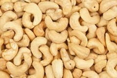 cashew nuts