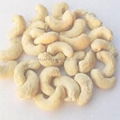 cashew nuts 2