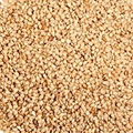 SESAME SEEDS 1