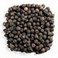 Black pepper 1