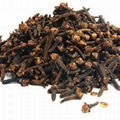 CLOVES