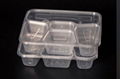 disposable plastic food box divided five