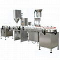 Fully Automatic Powder Filling Machine