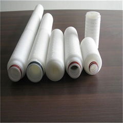 PP Pleated membrane filter cartridge