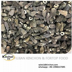 Dried Morel Mushroom Morchella