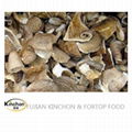 Dried Oyster Mushroom