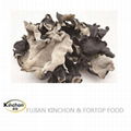 Dried black mushroom Whole