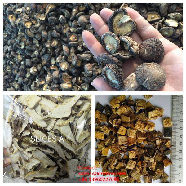 Dried organic shiitake mushrooms wholesale 3