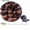 Wild Black Tuber dried truffle
