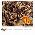 Yellow Wild Chanterelles Dried Mushrooms 1