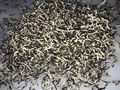 Great Vegetarian Nutrient Source Food Dried White Back Black Fungus Slices 2