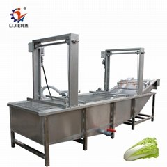 fish and vegetable cleaning machine