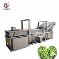fish and vegetable cleaning machine 3