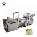fish and vegetable cleaning machine 4