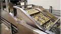 automatic frozen french fries processing machine 2