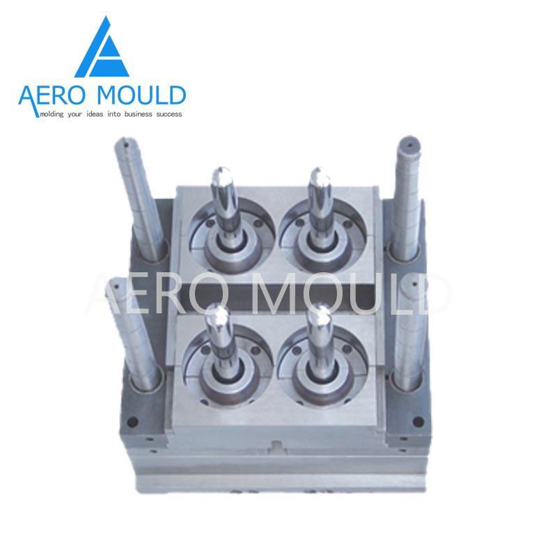 Factory directly produces plastic PET preform mold