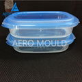 Thin Wall Food Container Mould Maker In China 2