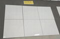 Thassos White Tiles Marble Tiles White Marlbe Flooring Tiles 1