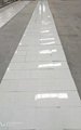 Thassos White Tiles Marble Tiles White Marlbe Flooring Tiles 3