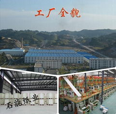 Shenzhen stone paepr enterprise ltd