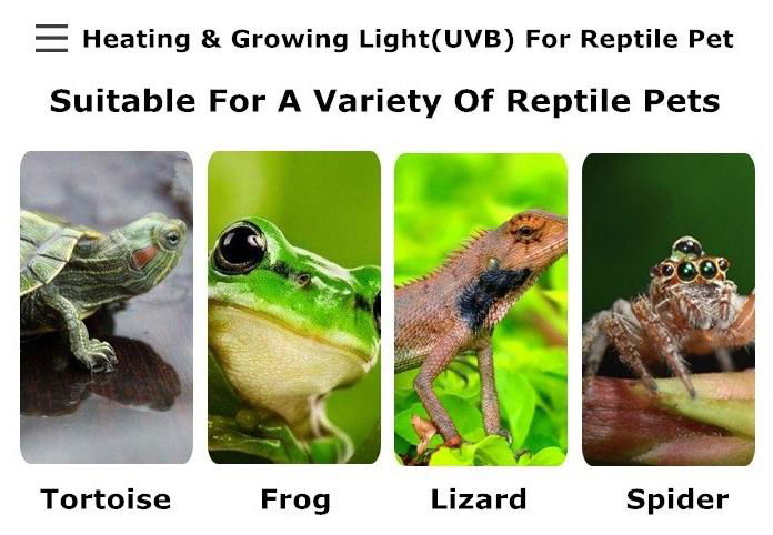 Heating & Growing Light(UVA & UVB) For Reptile Pet 2