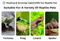 Heating & Growing Light(UVA & UVB) For Reptile Pet 2