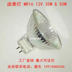 廠家直銷射燈鹵素燈MR16 12V 35W 50W