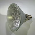 Halogen lamp PAR38 220V 75W 100W 120W 150W 