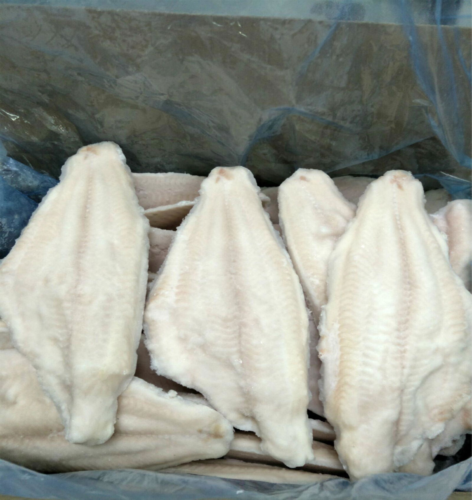 Frozen channel catfish fillets