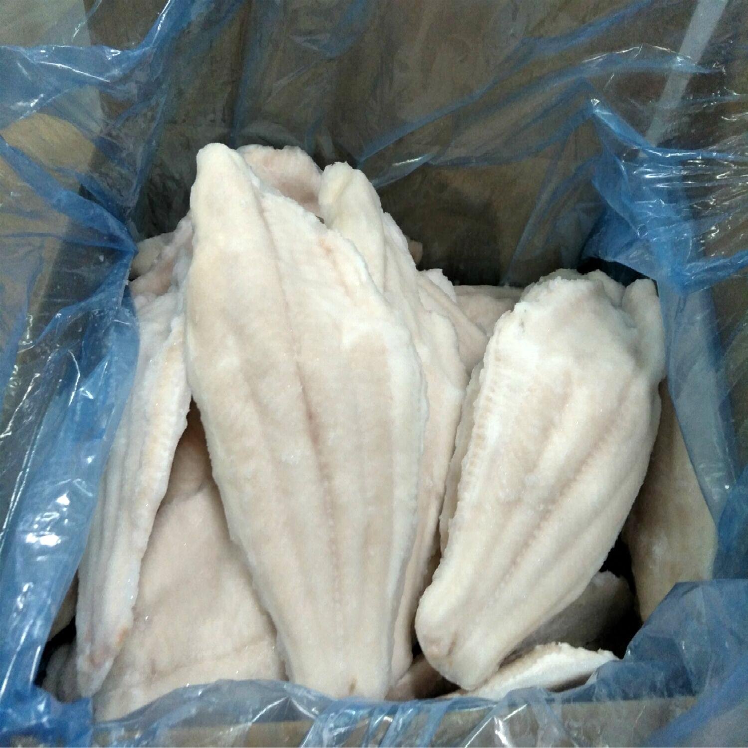 Frozen channel catfish fillets 2