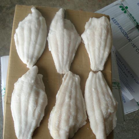 Frozen channel catfish fillets 4