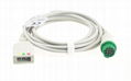 Biolight ECG cable 12 pins 2