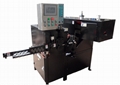 Full automatic looping and welding machine 1