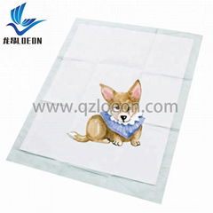 Pet training pad