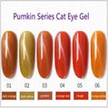 3D Cat Eye Soak Off Nail Gel Polish UV Gel Pumpkin Series Healthy Manicure 1