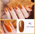 3D Cat Eye Soak Off Nail Gel Polish UV Gel Pumpkin Series Healthy Manicure 2