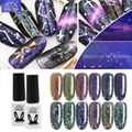 Nail Gel Polish Chameleon Brocade Phantom Of Aurora UV LED Gel Polish Nail Tips 1