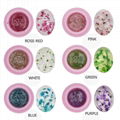 3D Dried Flower Gel Polish Decoration Transparent Gel Acrylic UV Gel Nail Art 1