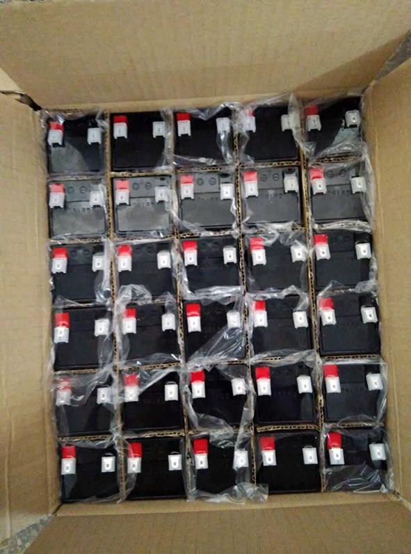 玩具及应急灯用蓄电池4V4.5AH 4