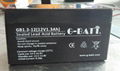 12V1.3AH VRLA Battery 1