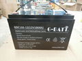 Solar Battery, Deep Cycle Battery of 12V100AH 2