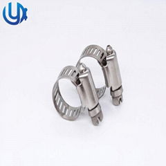 Stainless Steel Worm Gear Clamps Hose