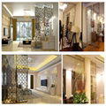  Customized Decorative Stainless Steel Hotel Room Divider Screen 1