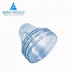 PET Preform Mold