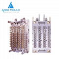 PET Preform Mold 2