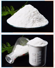 Hydroxypropyl Methyl Cellulose