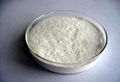 Redispersible Polymer Powder 1